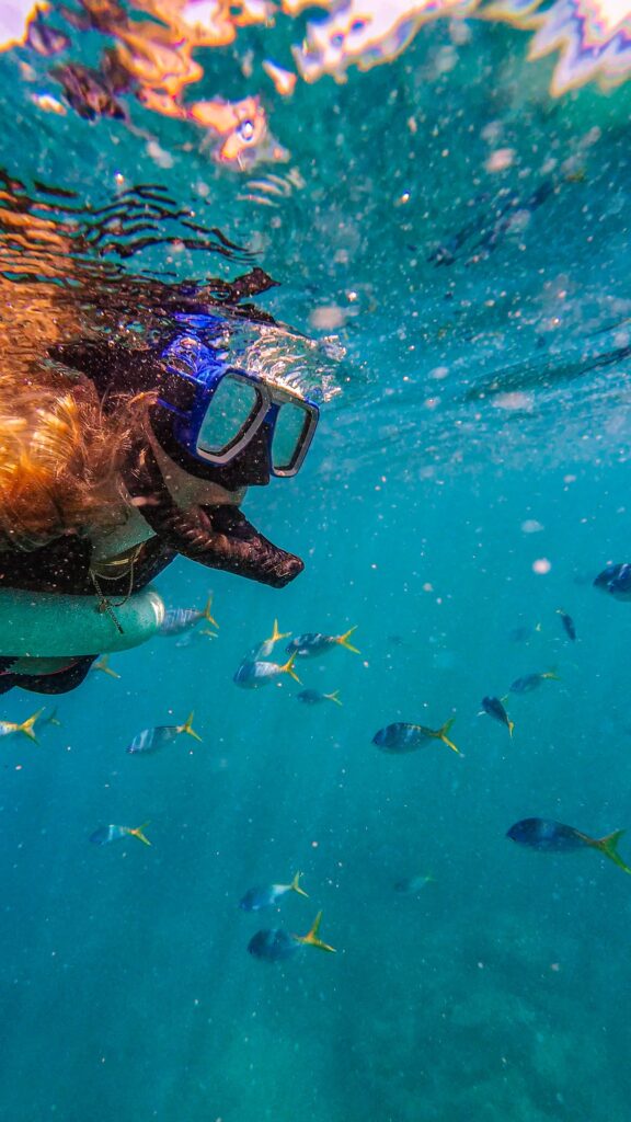 サンゴ礁と熱帯魚のシュノーケリング